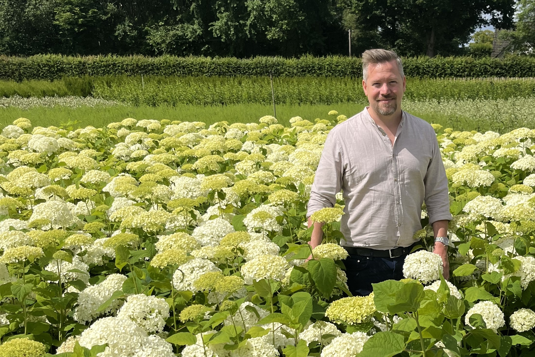 David Wiberg, VD Växa Anläggningsväxter